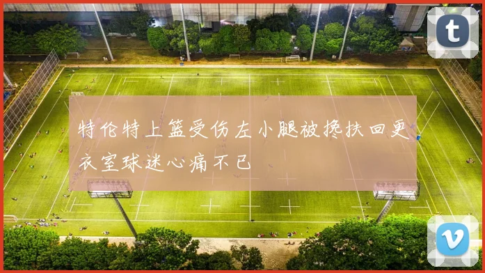 特伦特上篮受伤左小腿被搀扶回更衣室球迷心痛不已