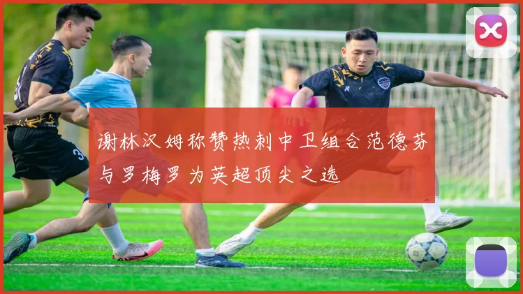 谢林汉姆称赞热刺中卫组合范德芬与罗梅罗为英超顶尖之选