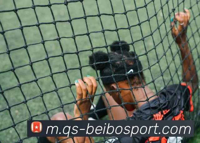 贝博足球服务体系